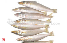 Load image into Gallery viewer, Fresh Kane – Lady Fish, (Big), 1 Kg
