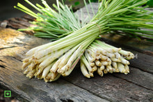Load image into Gallery viewer, Fresh Lemongrass , 250 g