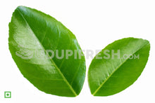 Load image into Gallery viewer, Lemon Leaf , 20 Leaf