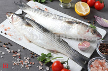 Load image into Gallery viewer, Freshwater Fresh Mullet Fish / Malai Fish , 1 Kg