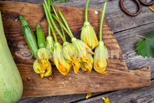 Load image into Gallery viewer, Pumpkin flowers 15 nos