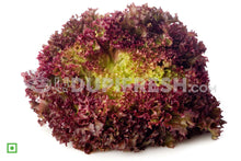 Load image into Gallery viewer, Red Lettuce, 500 g