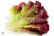 Load image into Gallery viewer, Red Lettuce, 500 g