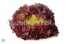 Load image into Gallery viewer, Red Lettuce, 500 g