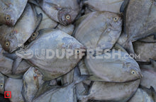 Load image into Gallery viewer, Black Pomfret/Black Maanji- Small , 1 kg