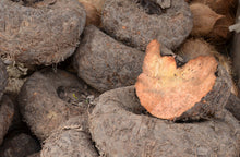 Load image into Gallery viewer, Suvarna Gadde (Elephant Foot Yam) , 500 g