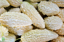 Load image into Gallery viewer, White Bitter Melon, 500 g