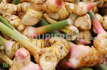 Load image into Gallery viewer, Thai Ginger  / Fresh galangal  250 g