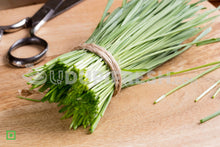Load image into Gallery viewer, Wheatgrass 20 g