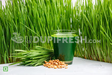 Load image into Gallery viewer, Wheatgrass 20 g