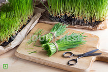 Load image into Gallery viewer, Wheatgrass 20 g