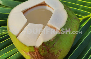 Tender Coconut , 1 pc