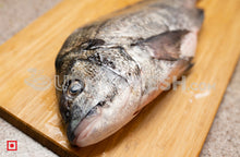 Load image into Gallery viewer, Freshwater Black Snapper / Karipetti , 1 Kg
