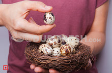 Load image into Gallery viewer, Quail Egg 12 Pcs
