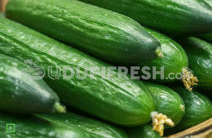 English Cucumber