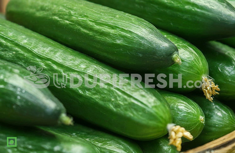 English Cucumber