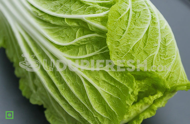 Chinese cabbage, 800 - 1.1 Kg