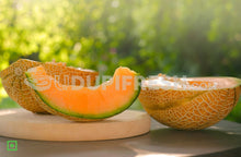 Load image into Gallery viewer, Muskmelon Kanpur 1 Pc
