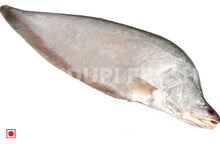 Load image into Gallery viewer, Chitol / Clown Knifefish 1 Kg
