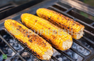 Grilled Corn, 2 PC