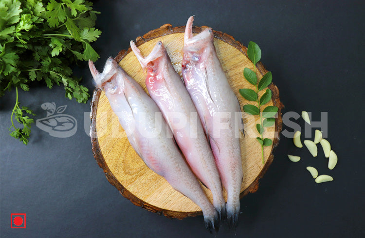 Bombay Duck, 1 Kg