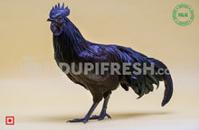 Load image into Gallery viewer, Kadaknath  Chicken 1 to 1.5 Kg Before Clean
