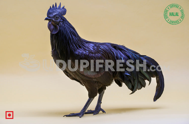 Kadaknath  Chicken 1 to 1.5 Kg Before Clean