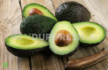 Load image into Gallery viewer, Avocado Hass Tanzania , 1 Pc
