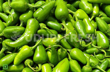 Load image into Gallery viewer, Fresh Curd Chilli (Dahi Mirchi) 500 g
