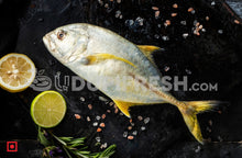 Load image into Gallery viewer, Fresh Giant Trevally , 1 Kg
