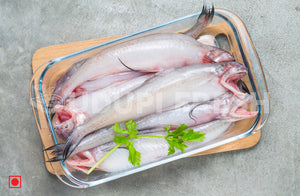 Bombay Duck, 1 Kg