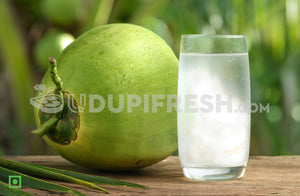 Coconut Water 500 ML