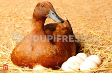 Load image into Gallery viewer, Duck Egg 6 Pcs
