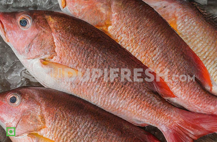 Freshwater Fresh Red Snapper / Kemberi Fish, 1 Kg