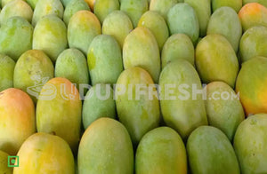 Dasheri Mango , 1 Kg