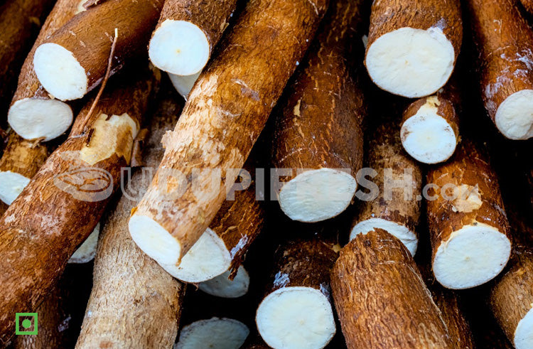 Tapioca Cost Tapioca , 1 Kg – UDUPI FRESH