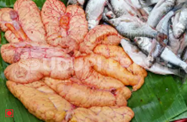 Fish Rioe Mix Fish Roe (Fish Eggs) 500 g – UDUPI FRESH
