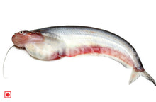 Load image into Gallery viewer, Pabda Fish / Butter Catfish 1 Kg
