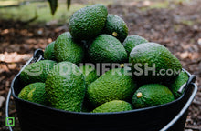 Load image into Gallery viewer, Avocado Hass Tanzania , 1 Pc
