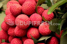Load image into Gallery viewer, Bengal Lychee 500 g
