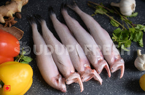 Bombay Duck, 1 Kg