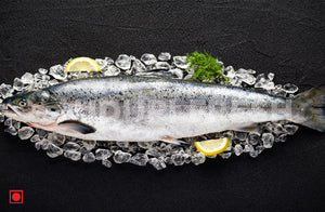 Atlantic Salmon, 1 Kg