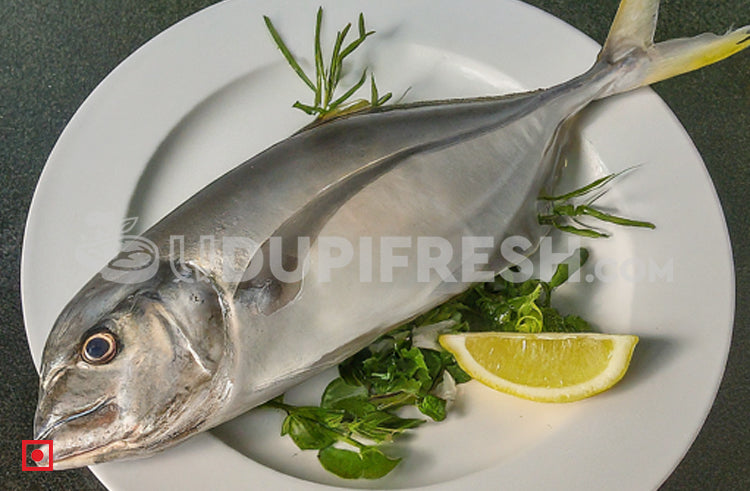 Fresh Giant Trevally , 1 Kg