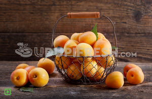 Fresh Apricots, 250 g