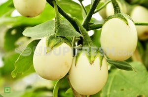 Rare Organic Garden eggs. White Eggplant, 1 Kg