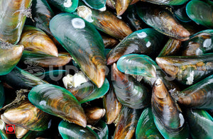 Fresh Mussels Small , 1 Kg