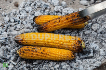 Load image into Gallery viewer, Grilled Corn, 2 PC
