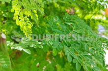 Load image into Gallery viewer, Fresh Moringa Leaves , 500 g
