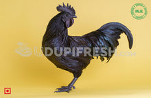 Load image into Gallery viewer, Kadaknath  Chicken 1 to 1.5 Kg Before Clean
