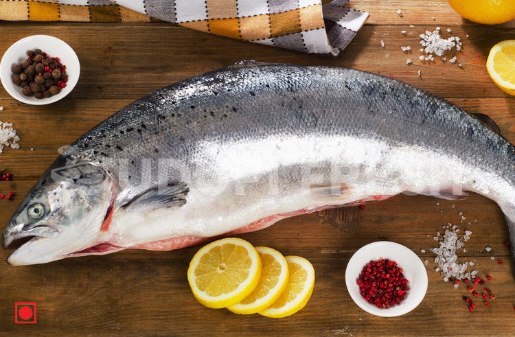 Atlantic Salmon, 1 Kg